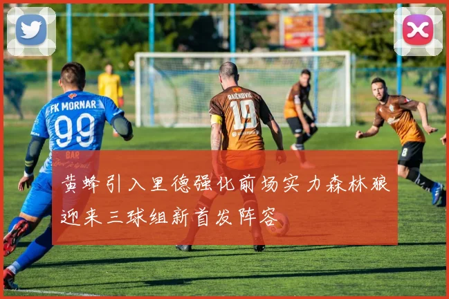 黄蜂引入里德强化前场实力森林狼迎来三球组新首发阵容